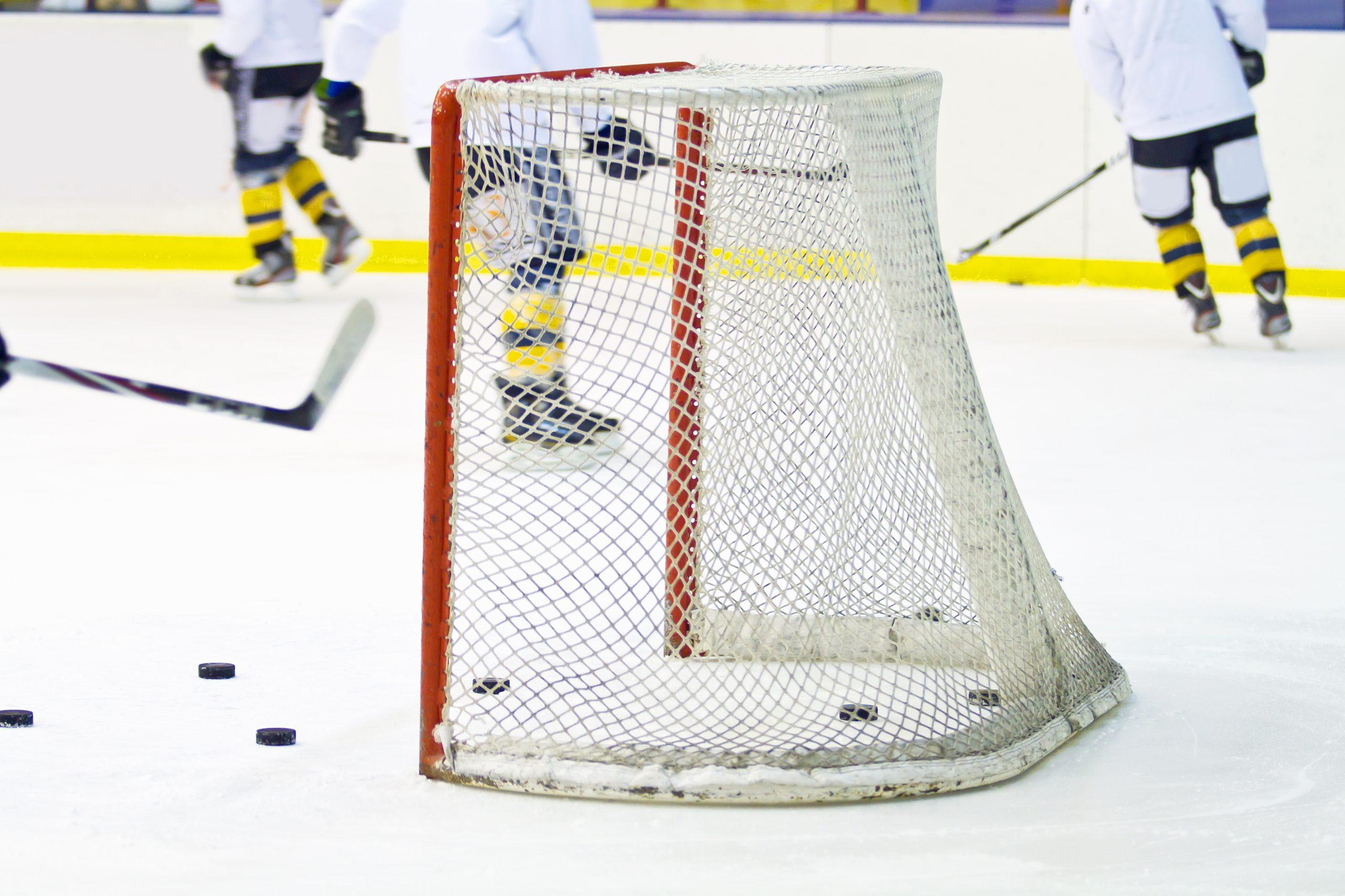 sports netting, Leon De Oro,8888332634